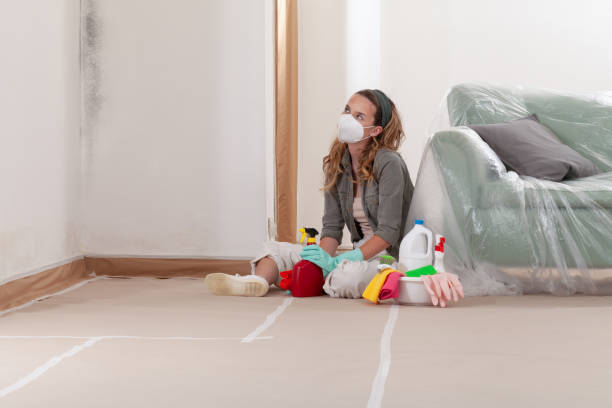 Reliable Mold Cleanup contractor in Linden, MI by Cheap Mold Removal